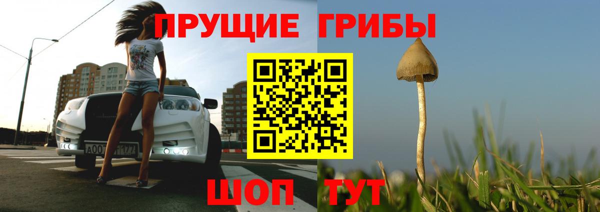Псилоцибиновые грибы мицелий Углич